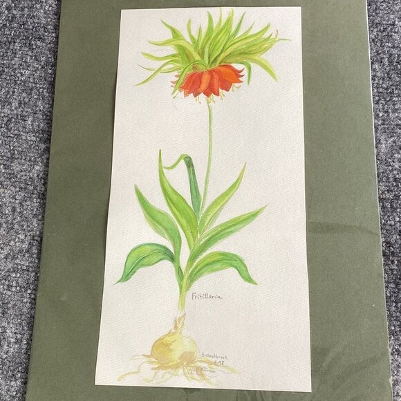 Original Watercolor Painting Fritillaria Botanical Flower Signed B Westbrook 90s - Picture 5 of 11